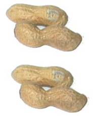 Erdnüsse-2x2.jpg